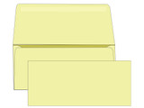 #9 Blank Remittance Envelopes - Colored -  EB1508