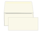 #9 Blank Remittance Envelopes - Colored -  EB1508