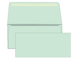 #9 Blank Remittance Envelopes - Colored -  EB1508