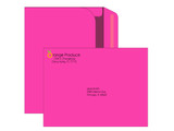 EN1097 - Colored 9x12 Booklet Envelopes