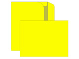 Booklet Envelopes 9x12 - Bright Colors - EB1509