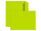 Booklet Envelopes 9x12 - Bright Colors - EB1509