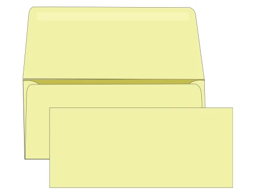 #9 Blank Remittance Envelopes - Colored -  EB1508