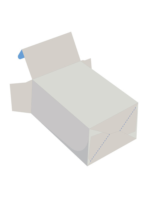 Full Color Custom Printed Auto Lock Carton - P1003