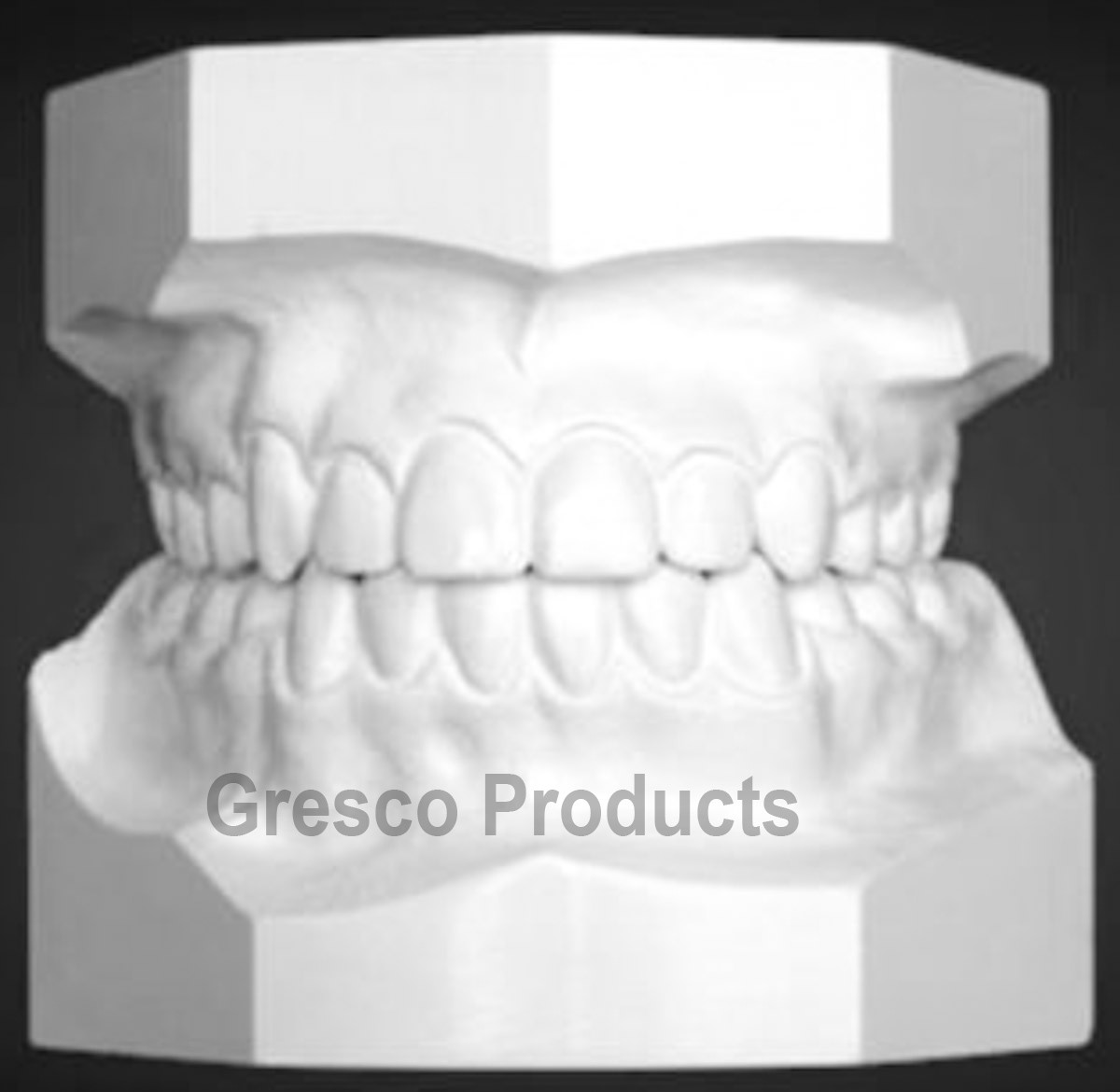 Gypsum Dental Stone Models