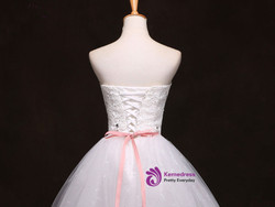 Simple Short Homecoming Dress Sweet Heart Homecoming Dress Organza Homecoming Dress