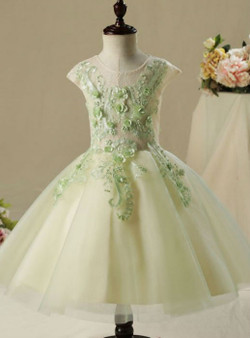 Wedding Party Dresses 2017 Flower Girl Dresses Lace Appliques Flower Pearl