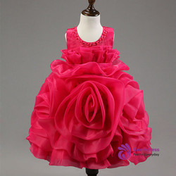 Queenly flower girl dresses for weddings sleeveless zipper back Girls rose ball gown dress short