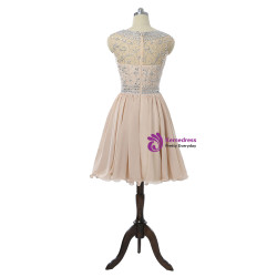 Champagne 2017 Homecoming Dresses A-line Cap Sleeves Chiffon