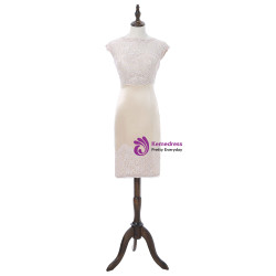 2017 Mother Of The Bride Dresses Sheath Knee Length Lace