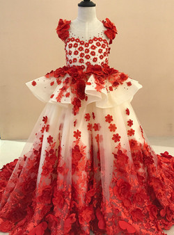 Ball Gown Champagne Tulle Red Appliques Flower Girl Dress