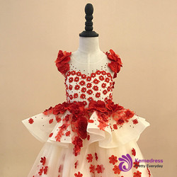 Ball Gown Champagne Tulle Red Appliques Flower Girl Dress