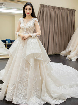 Ball Gown White Long Sleeve Lace Tulle V-neck Wedding Dress