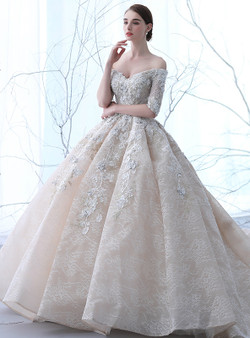 Champagne Tulle Off The Shoulder Appliques Short Sleeve Wedding Dress