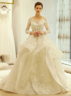 Ball Gown Ivory Long Sleeve Backless Appliques Wedding Dress