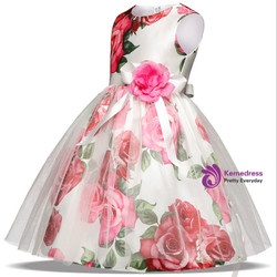 In Stock:Ship in 48 hours Print White Tulle Flower Girl Dress