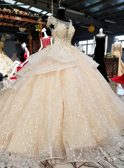 Luxury Champagne Ball Gown Tulle Appliques Wedding Dress