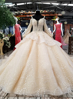 Luxury Champagne Ball Gown Long Sleeve Tulle Appliques Wedding Dress