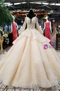 Luxury Champagne Ball Gown Long Sleeve Tulle Appliques Wedding Dress