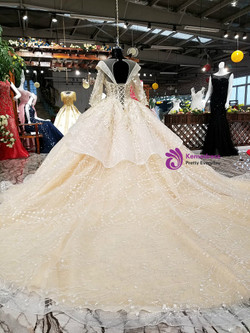 Luxury Ball Gown Long Sleeve Backless Tulle Appliques Wedding Dress