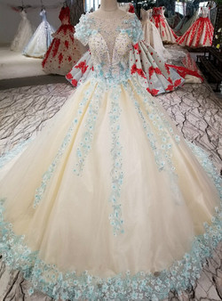 Ball Gown Cap Sleeve Backless Tulle Appliques Haute Couture Wedding Dresses