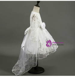 In Stock:Ship in 48 hours Ready To Ship Tulle Lace Long Sleeve Dress