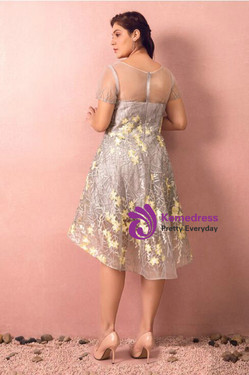 Plus Size Gray Hi Lo Short Sleeve Embroidery Prom Dress