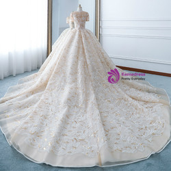 Champagne Ball Gown Sequins Short Sleeve Long Train Wedding Dress