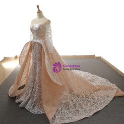 Champagne Mermaid Lace Long Sleeve Backless Train Wedding Dress Champagne Mermaid Lace Long Sleeve Backless Train Wedding Dress