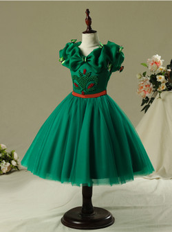 In Stock:Ship in 48 Hours Short Princess Frozen Skirt Aisha Dress