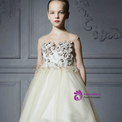 In Stock:Ship in 48 Hours Light Champagne Tulle Appliques Girl Dress