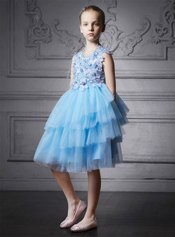 In Stock:Ship in 48 Hours Blue Tulle Appliques Knee Length Girl Dress