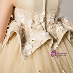 Champagne Tulle Satin Appliques Short Flower Girl Dress