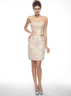 Champagne Lace Appliques Short Mother Of The Brides Dress With Jacket