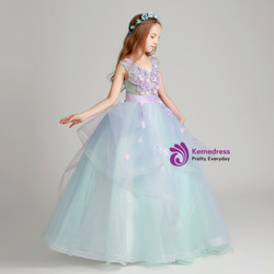 Blue Tulle V-neck Appliques Floor Length Flower Girl Dress