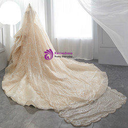 Champagne Ball Gown Lace Tulle Sequins V-neck Backless Wedding Dress