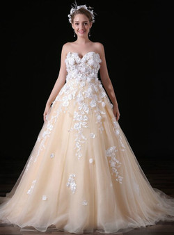 Champagne Tulle Sweetheart Neck Appliques Long Wedding Dress