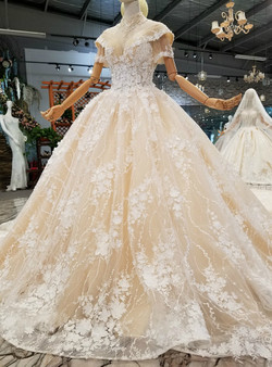 Luxury Champagne Ball Gown Appliques Backless With Sequins Wedding Dress