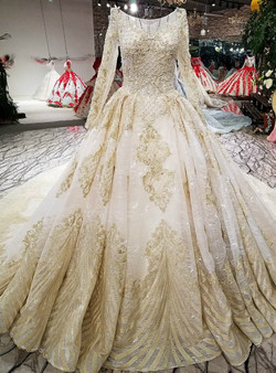 Champagne Ball Gown Long Sleeve Appliques Beading Wedding Dress