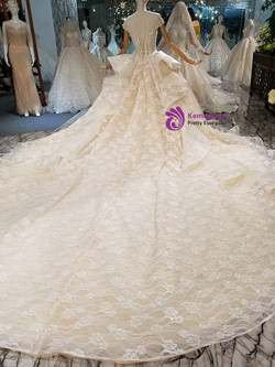 Champagne Tulle Lace Sequins Backless Long Train Wedding Dress