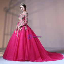 Rose Red Ball Gown Tulle Embroidery Long Sleeve Backless Quinceanera Dresses
