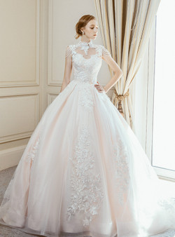 Champagne Ball Gown High Neck Backless Appliques Wedding Dress