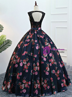 Vintage Ball Gown Print Backless Floor Length Quinceanera Dresses
