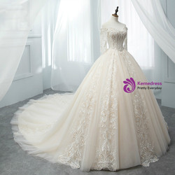 Light Champagne Tulle Short Sleeve Wedding Dress With Beading Light Champagne Tulle Short Sleeve Wedding Dress With Beading