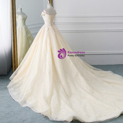 Champagne Ball Gown Tulle Lace Appliques Wedding Dress With Train