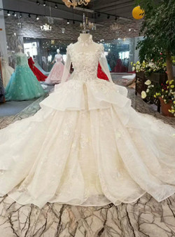 Champagne Tulle High Neck Long Sleeve Backless Appliques Wedding Dress