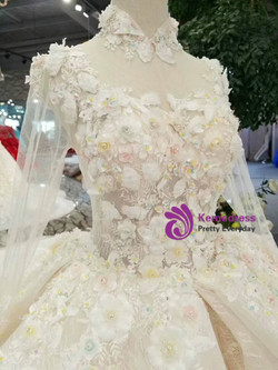 Champagne Tulle High Neck Long Sleeve Backless Appliques Wedding Dress