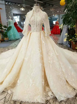 Champagne Tulle High Neck Short Sleeve Wedding Dress With Long Train