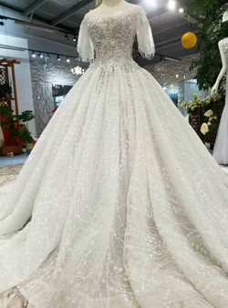 Silver Gray Sequins Bateau Neck Butterfly Sleeve Wedding Dress With Appliques