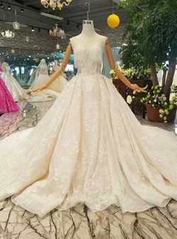 Champagne Tulle Sequins Bateau Backless Appliques Wedding Dress